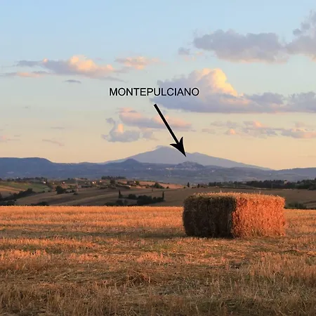 Fattoria Borgonuovo Εξοχικό σπίτι Κορτόνα