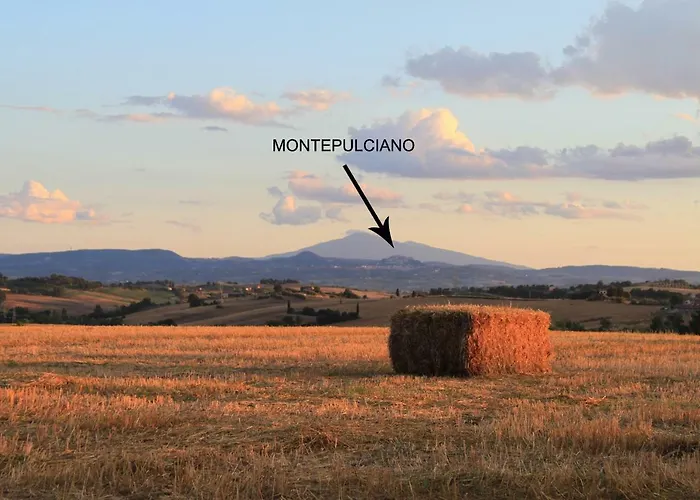 Fattoria Borgonuovo Kır Evi Cortona