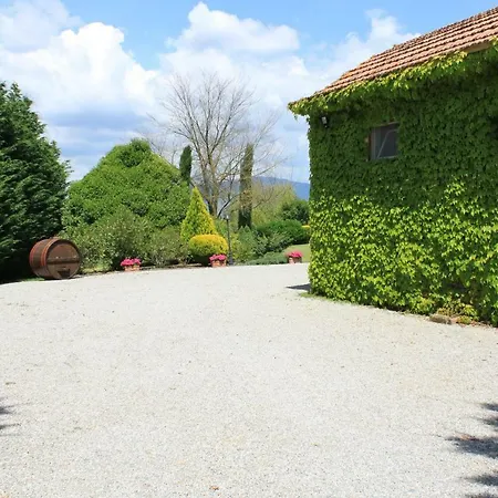 Fattoria Borgonuovo * Cortona