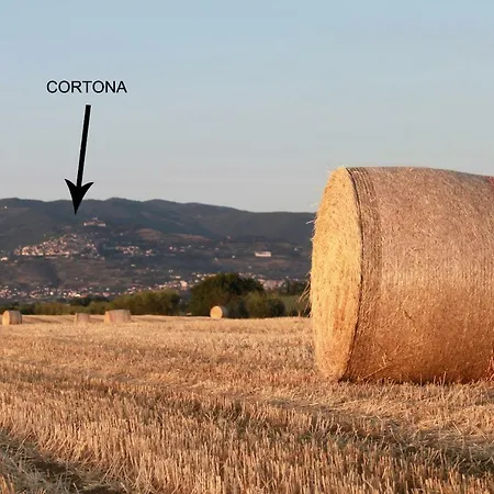 Gospodarstwo wiejskie Fattoria Borgonuovo *