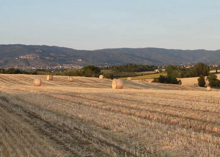 Fattoria Borgonuovo Landsted *