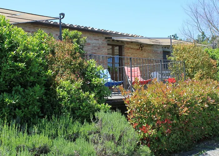 Fattoria Borgonuovo Cortona