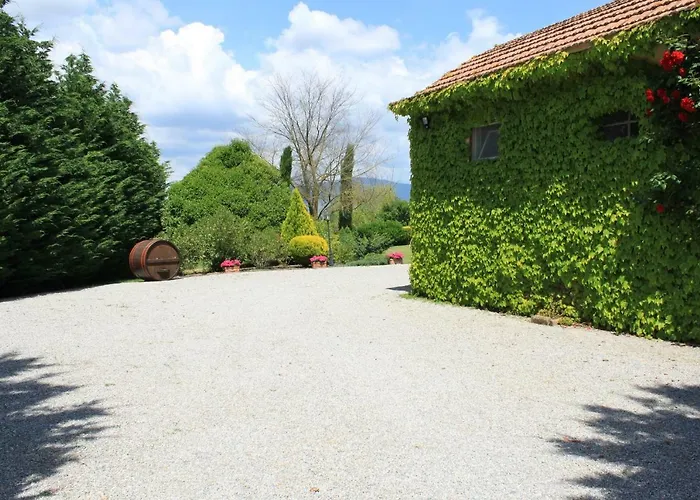 Fattoria Borgonuovo * Cortona